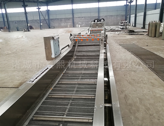 蔬菜噴淋清洗機(jī)整齊有序