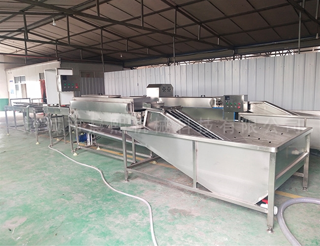 全自動鴨蛋清洗機(jī) 糞便蛋洗蛋機(jī)每小時5000-1萬枚